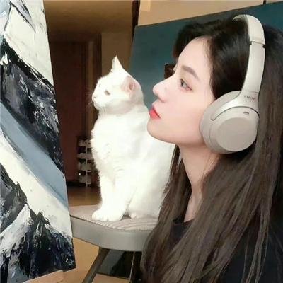 深林诡事