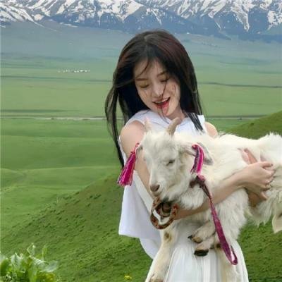美国派3：美国婚礼