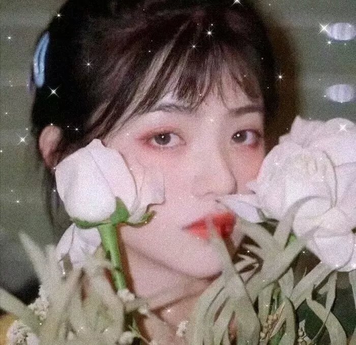 复活的盖文史东
